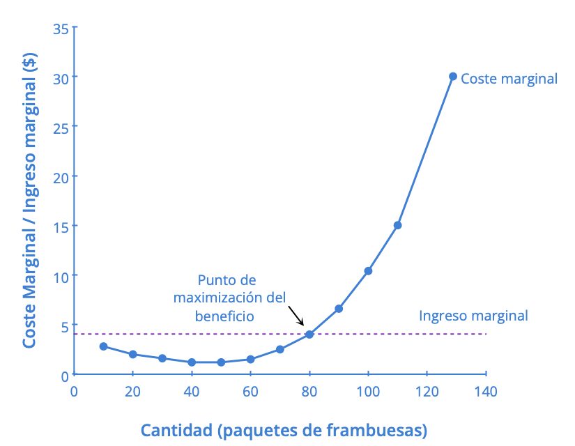 Imagen 8_3