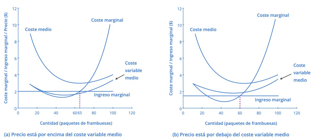 Imagen 8_6