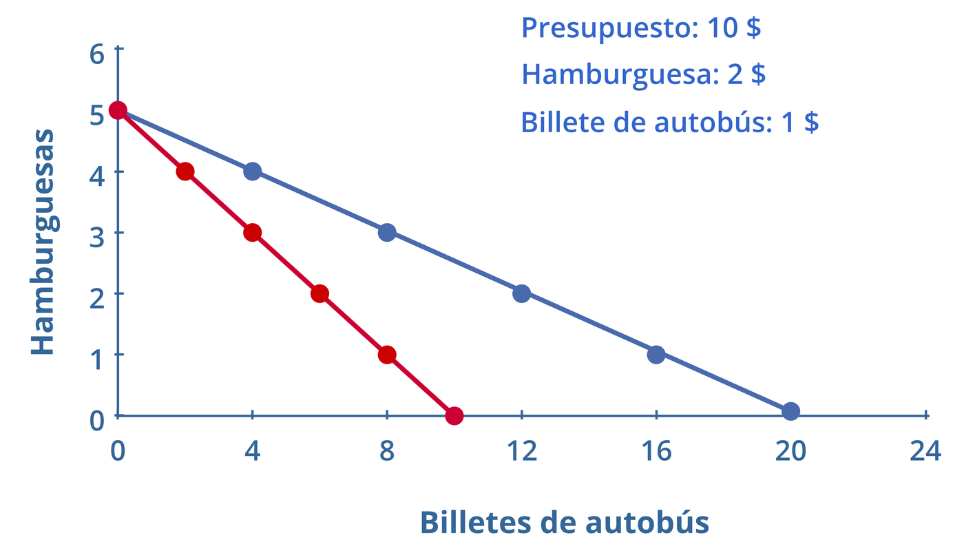 Descripción