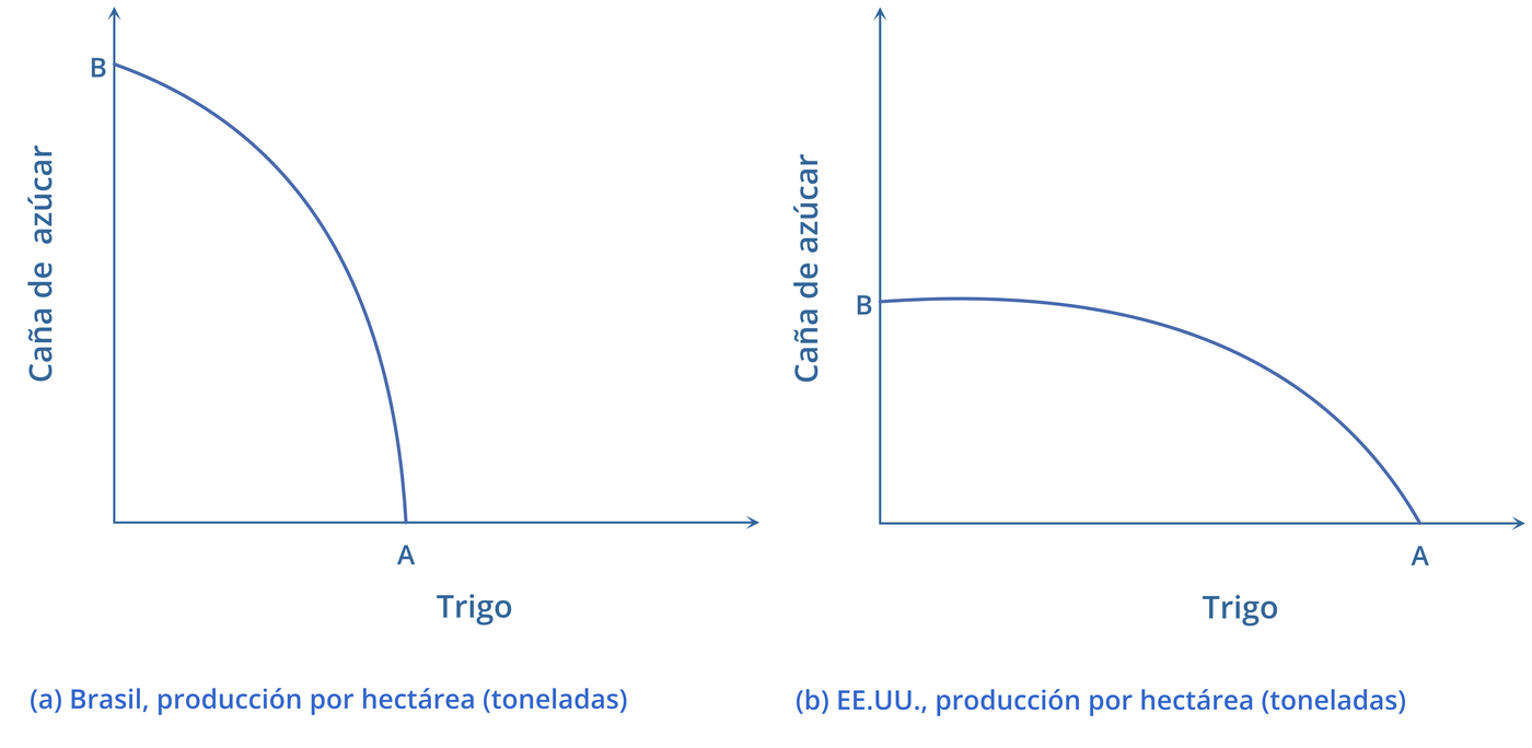FPP de EE. UU. y Brasil para trigo y caña de azúcar