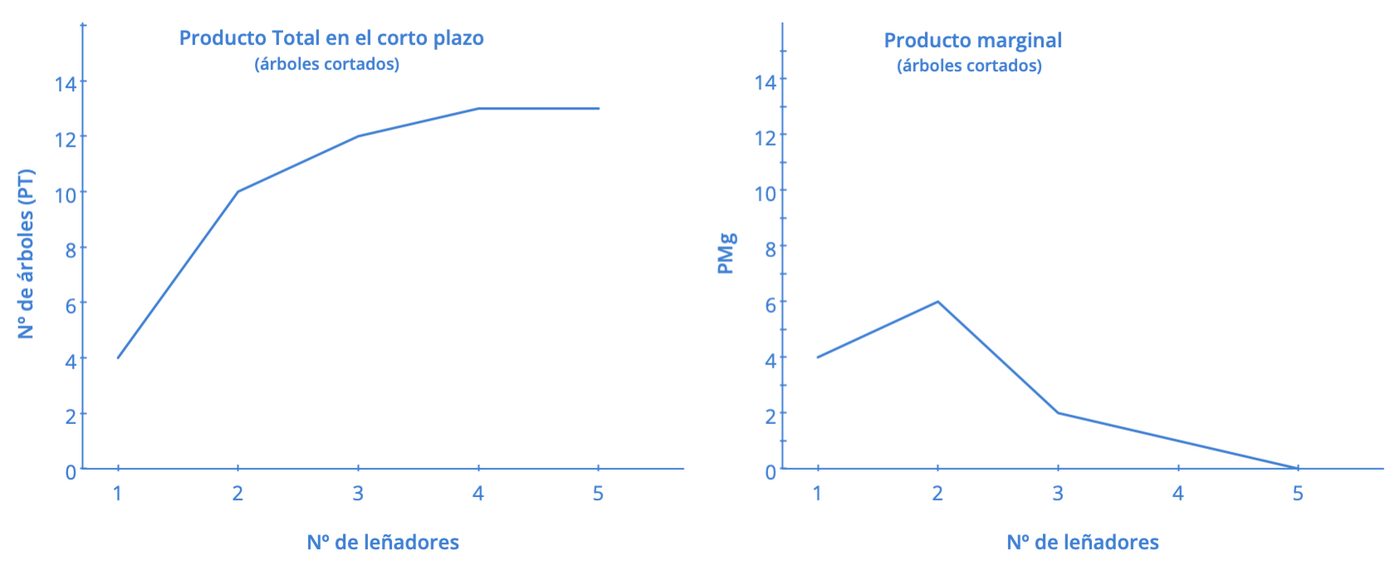 Gráficos del producto total y del producto marginal de los leñadores en el corto plazo